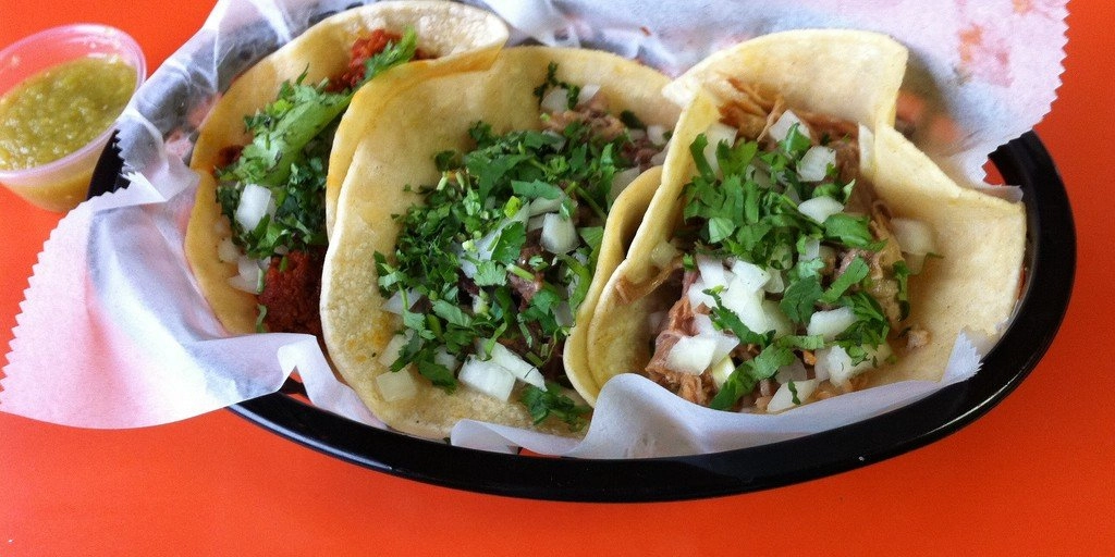 tacos e university