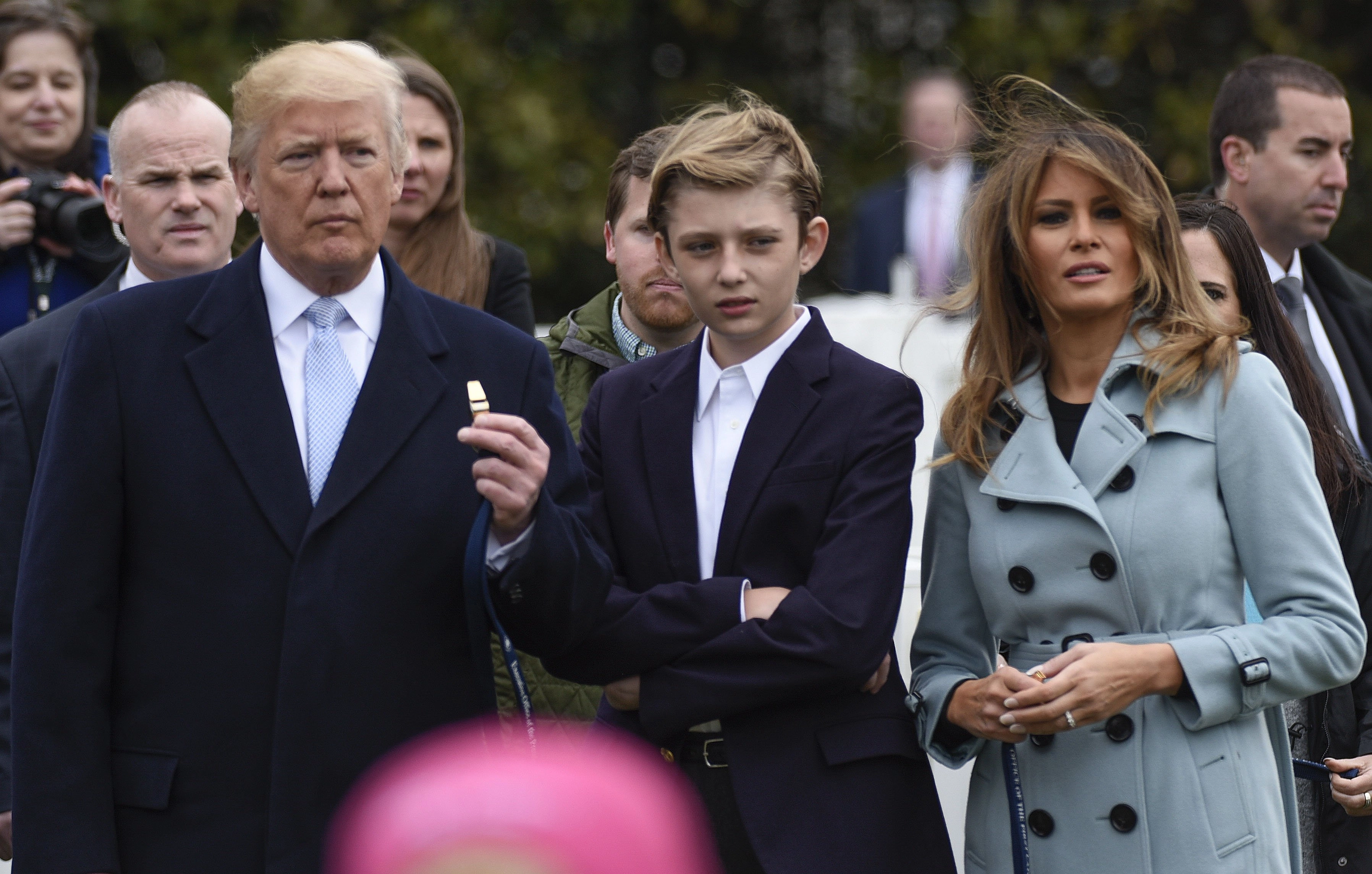 Trump - bullo - Corral