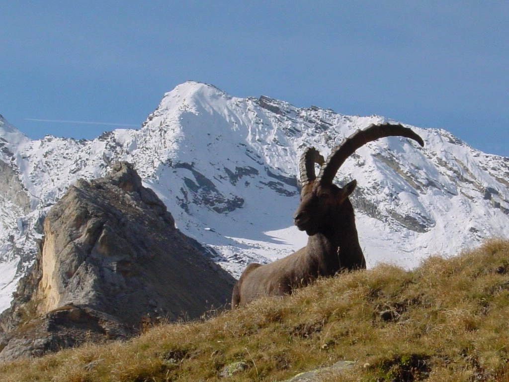 Coesione: fondi Ue, Piemonte contro cambiamento clima Coesione - Piemonte -. cambiamento - clima