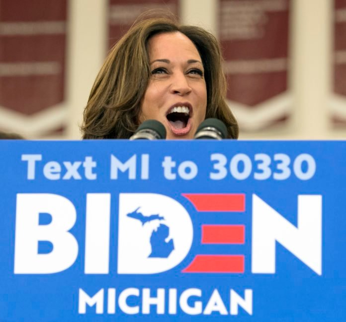 Usa 2020 - Michigan - Biden - Harris