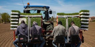 Il Settimanale 2020 3 - La Fase 2 - invisibili - sanatoria