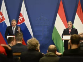 240617 - Ue - elezioni europee - Visegrad - Fioco - Orban