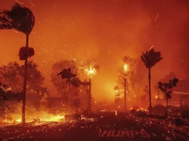 250113 - Usa 2024 + 68 - incendi - California