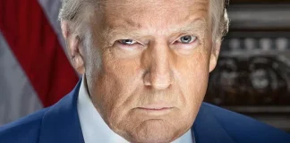 Trump 2: la guerra dei giudici al presidente e la guerra ai giudici del presidente 250212 - Trump 2 - autoritarismo