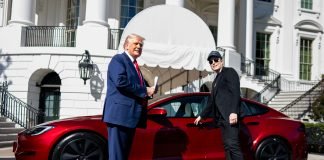 250313 - Trump 2 - Musk - Tesla