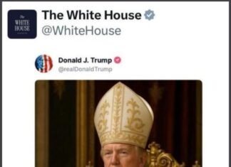 250503 Trump 2 - Trump - papa