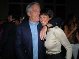 260201 Epstein - Maxwell