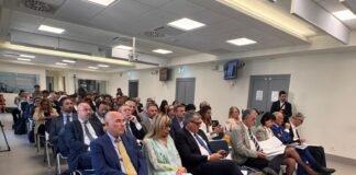 260618 - Media Duemila - convegno - Europa